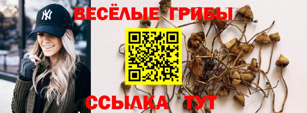 Бийск  хочу   Вход с VPN  Галлюциногенные грибы мухоморы 