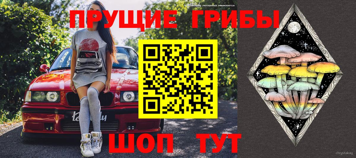 Галлюциногенные грибы мухоморы Бийск